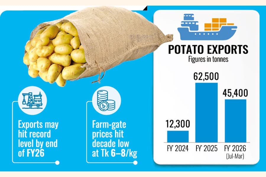 Potato exports rise, but farmers struggle as prices plunge