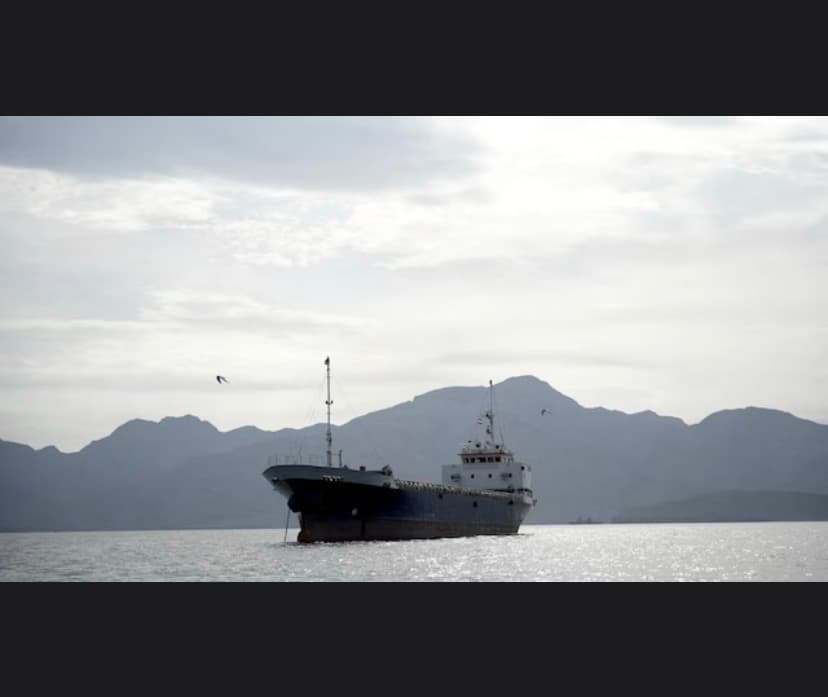 Iran offers proposal allowing ships to exit Oman side of Hormuz free of attack: Source