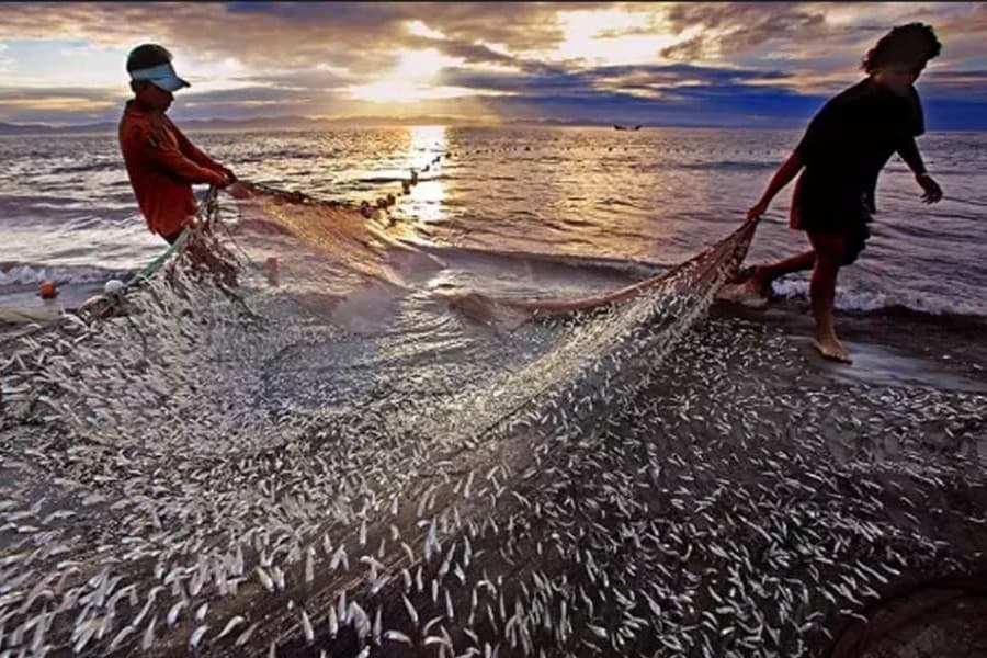 58-day fishing ban on sea puts a strain on fishermen