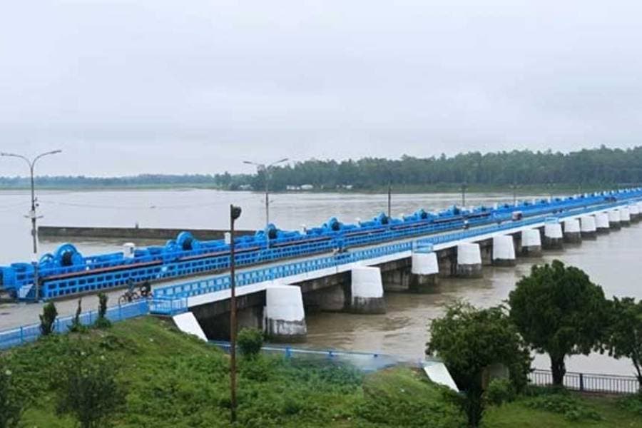 Govt committed to implement Teesta project