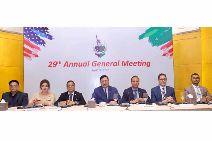 AmCham holds 29th AGM