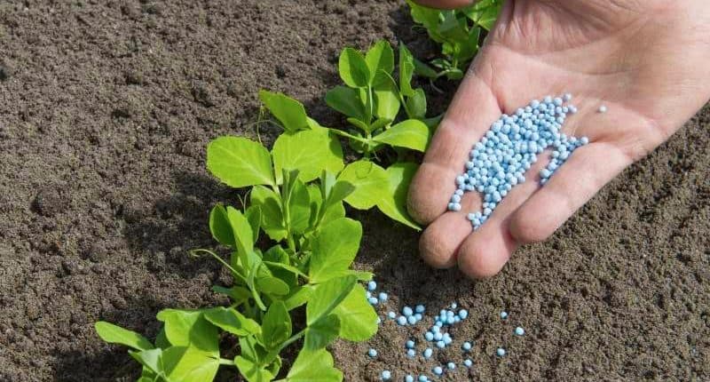 Morocco team in Dhaka to launch soil health, fertiliser efficiency programme