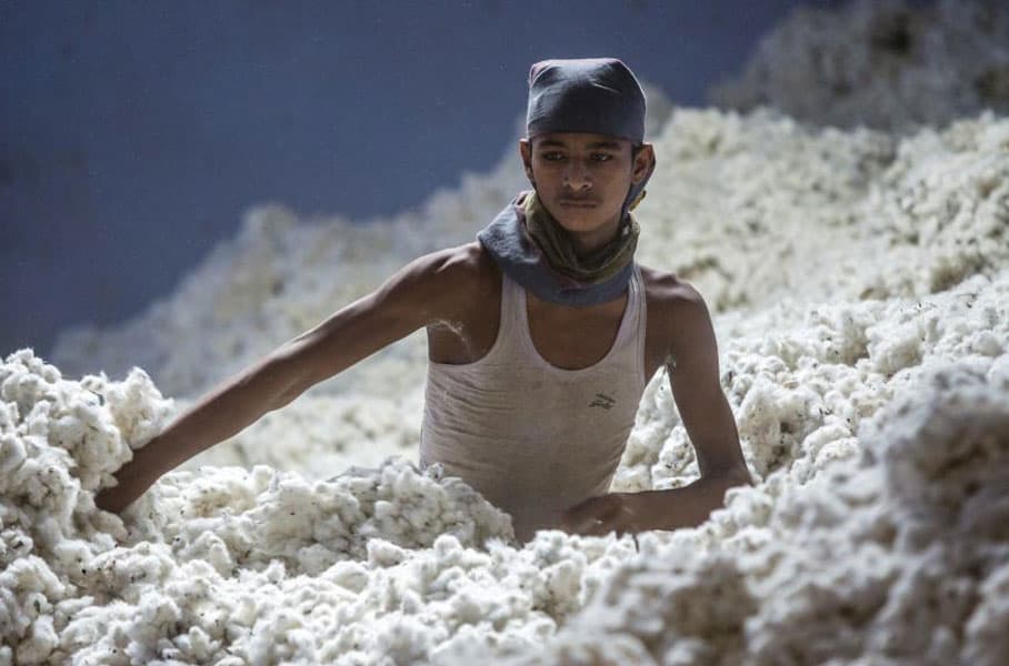 BTMA, CottonConnect sign MoU to promote domestic cotton production
