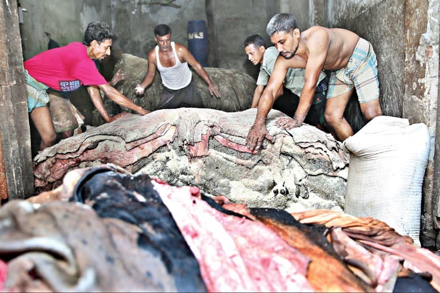 Salted rawhide prices raised by Tk 2 to 3 ahead of Eid-ul-Azha