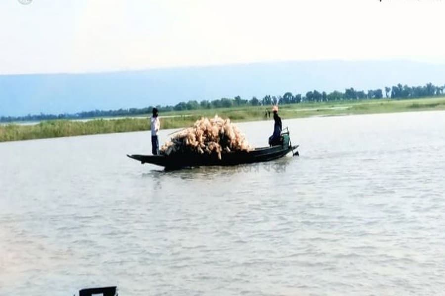 Plastic fishing gear jeopardising biodiversity in Sunamganj haors