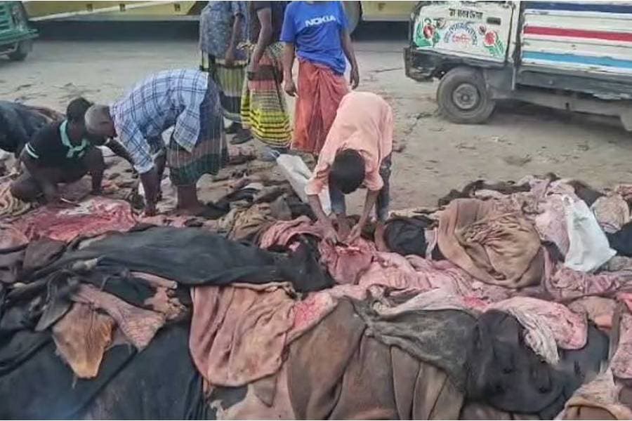 341 trucks carrying 80,000 rawhides enter Savar tannery