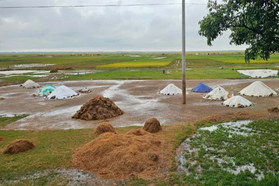 Flash floods disrupt Boro paddy harvest, curtailing supply