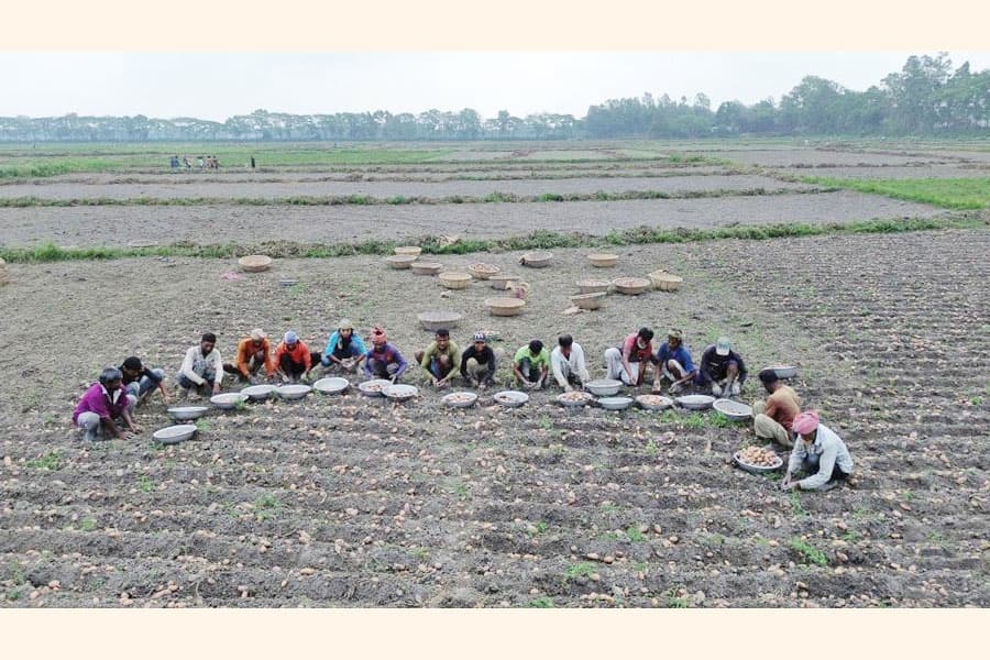 Quality seeds and durable agri-food systems