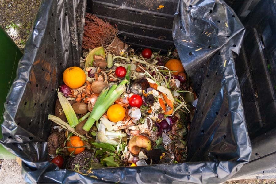 Bangladesh wastes 3.5 million tonnes of food annually: State minister