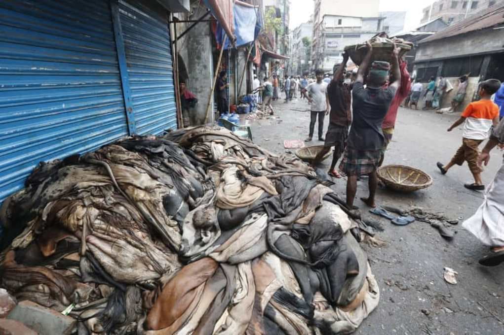 Rawhide collection may fall to 6.5m pieces despite higher Eid sacrifices