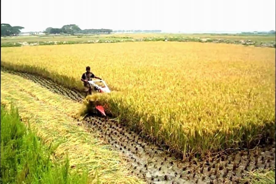 BB's agro-stimulus package — a timely initiative