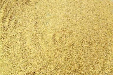 Kaun rice on the brink of extinction in Chandpur