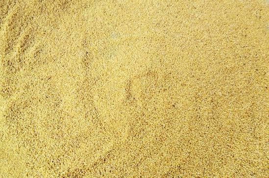 Kaun rice on the brink of extinction in Chandpur