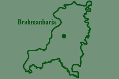 BGB seizes Indian mobile phone displays worth Tk 31.7m in Brahmanbaria
