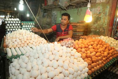 BPIA pushes for reforms to protect poultry farmers, ensure fair egg prices