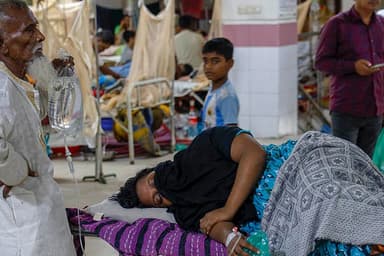Dengue: 2 die, 327 hospitalised in 24 hours