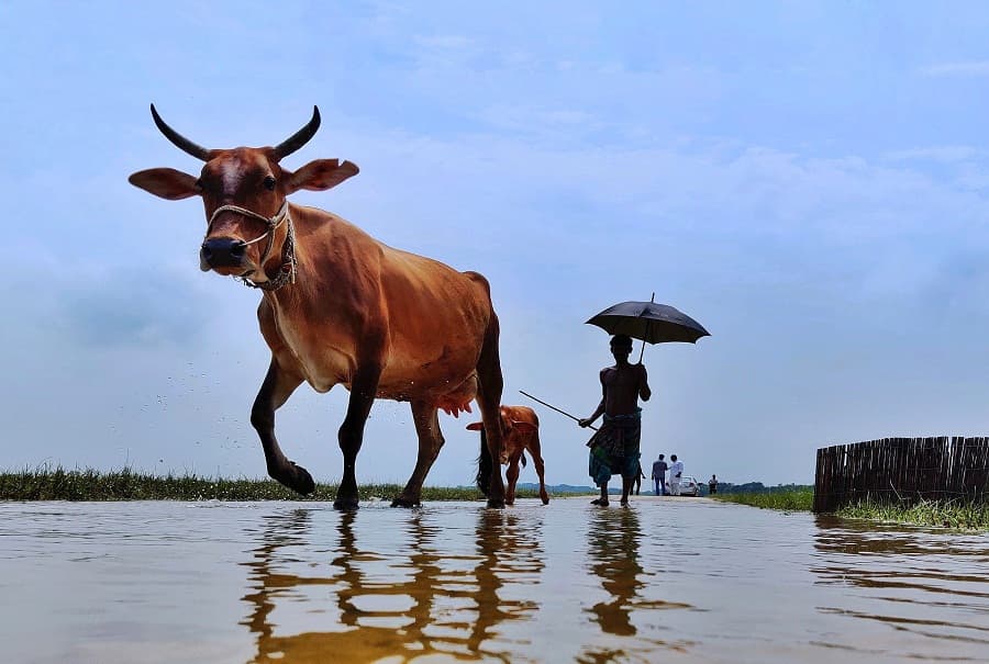 Why Bangladesh can't fight the planetary crisis alone