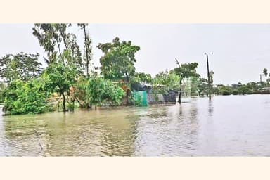 Floodwaters recede, but hardships persist in Cox's Bazar