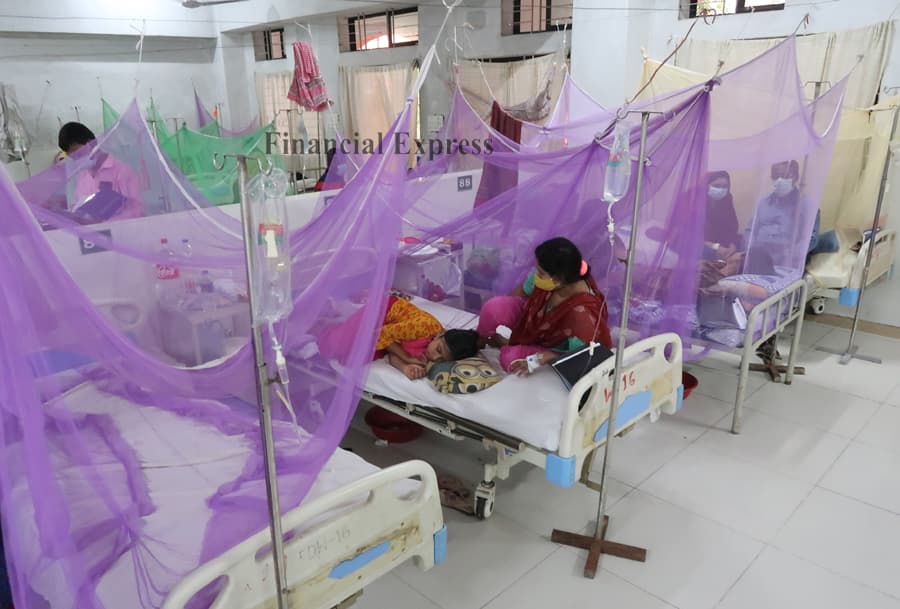 Dengue claims two more lives, 391 hospitalised
