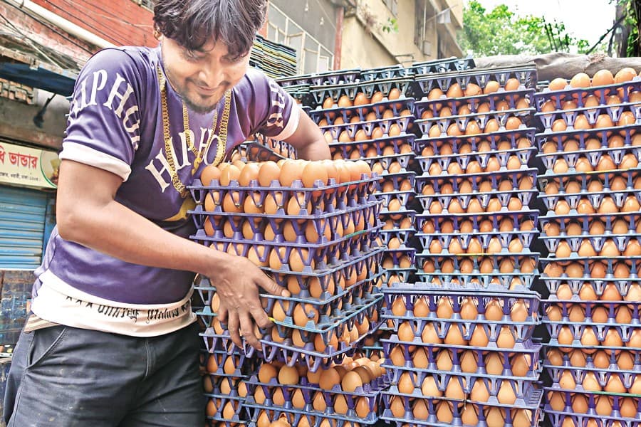 Excess supply keeps egg price low for months