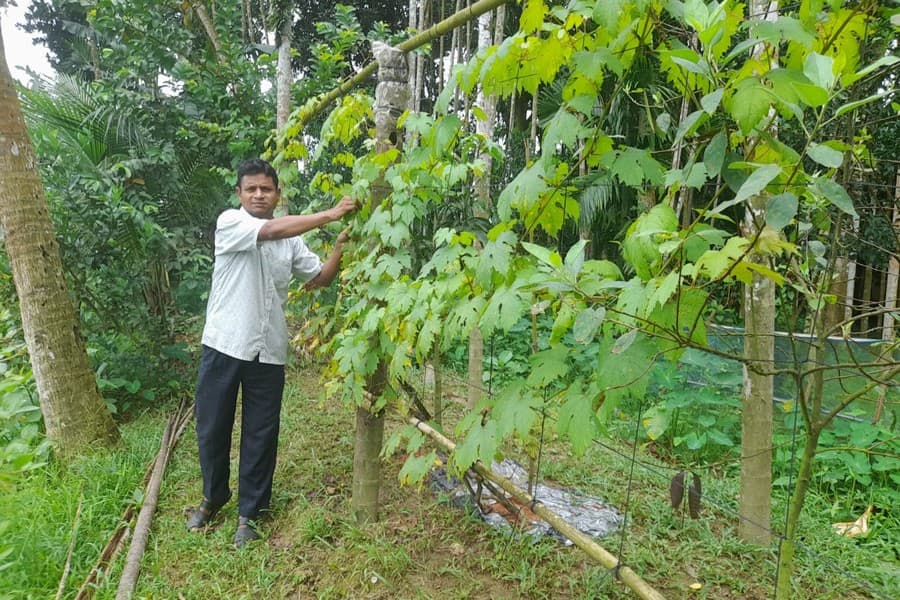 Sylhet villager now a high-profile fruit farmer