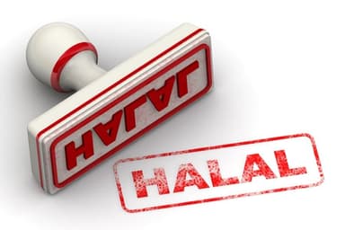 Experts push for single halal authority to boost exports