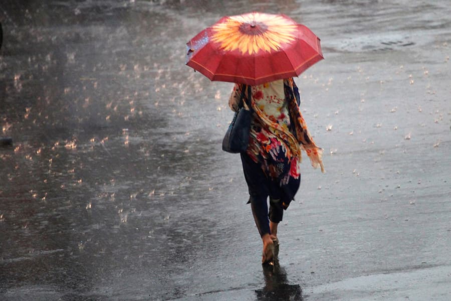 Heavy to very heavy rainfall likely in three divisions