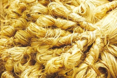 Ban export of jute silver: BJA