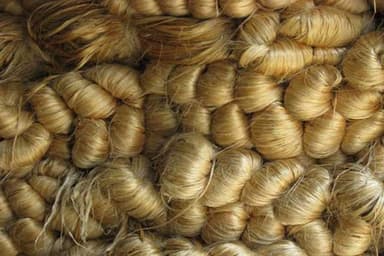 Foreign, textile ministries move to boost jute exports