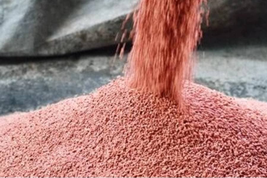 CCGP approves Tk 3.03b procurement proposals for fertiliser, food sacks