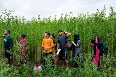 BGB foils BSF bid to push 8 into Bangladesh through Kushtia border