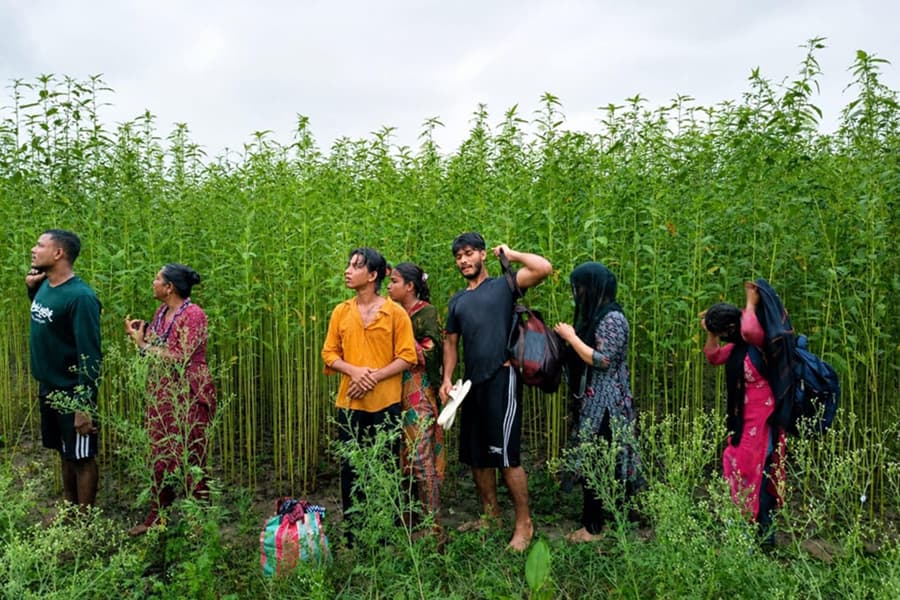 BGB foils BSF bid to push 8 into Bangladesh through Kushtia border