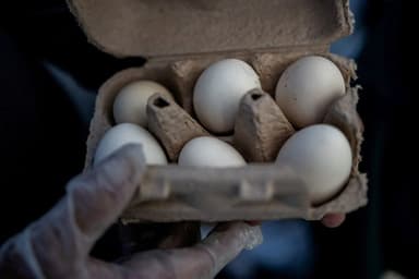 US poultry firm recalls nearly 1.6 million dozen eggs over potential salmonella