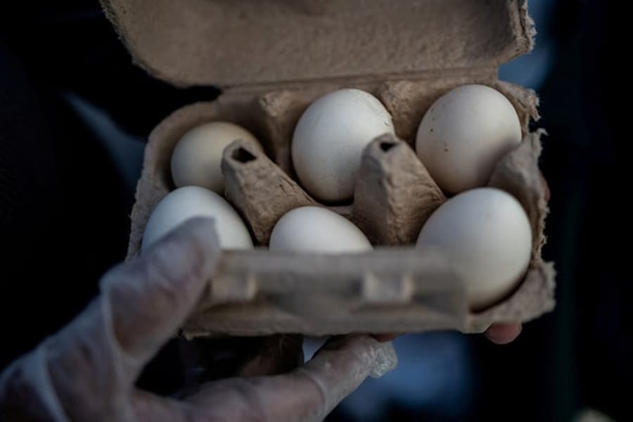 US poultry firm recalls nearly 1.6 million dozen eggs over potential salmonella