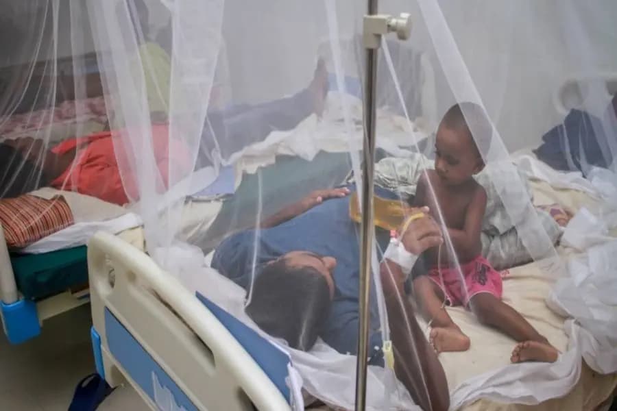 Govt. in a box to combat two epidemic outbreaks