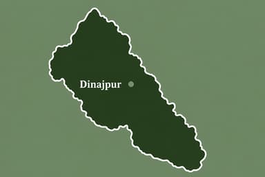 BGB foils attempt to push 9 women into Bangladesh through Dinajpur border