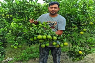 Lalmonirhat youth attains self-reliance through fruit farming venture