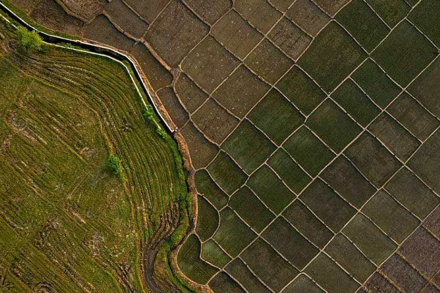 Africa facing $10-$20bn economic hit from ‘super’ El Niño, AfDB climate chief warns
