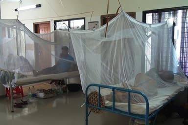 Three people die of dengue in 24 hours