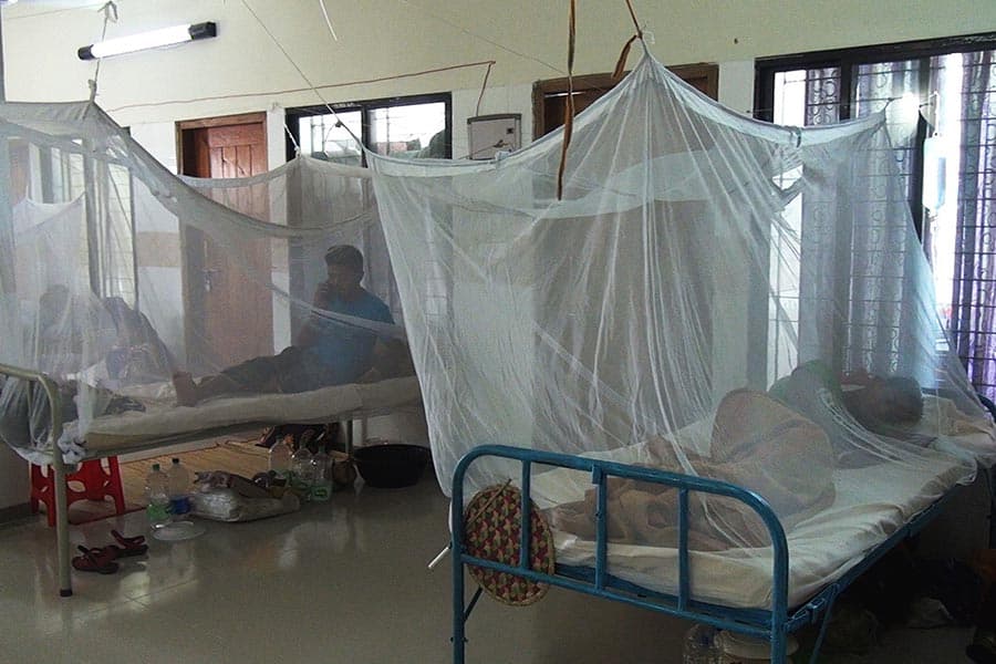 Three people die of dengue in 24 hours