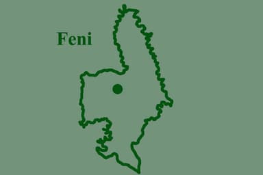 Alleged BSF push-in bid foiled at Feni border