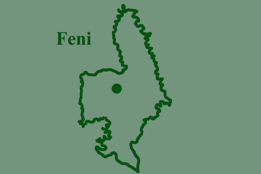 Alleged BSF push-in bid foiled at Feni border