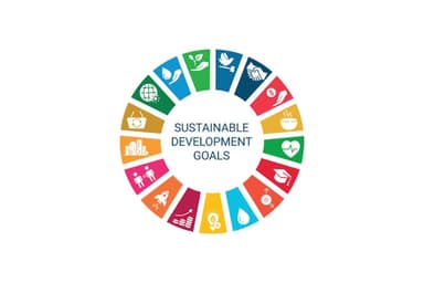 Country needs addl $421b to attain SDGs by FY'30