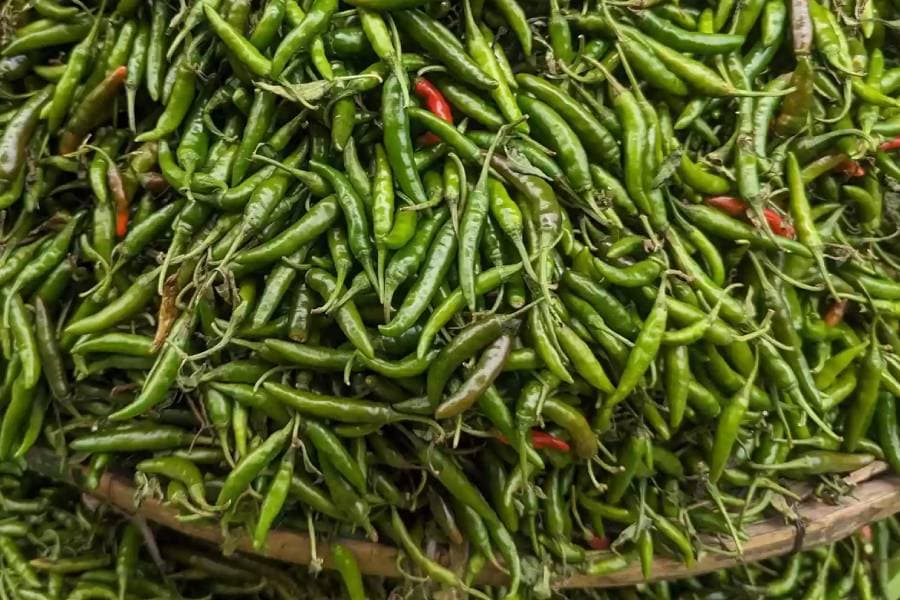 Green chili prices soar in Dhaka as rains squeeze supply