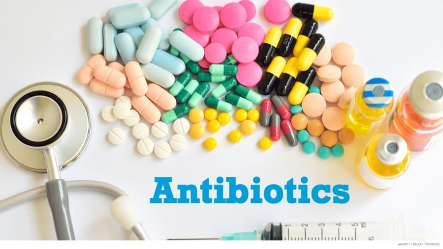 Fighting drug-and-antibiotic resistant bacteria