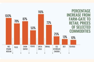 Rice price doubles from farm to retail market, green chilli records 116pc hike