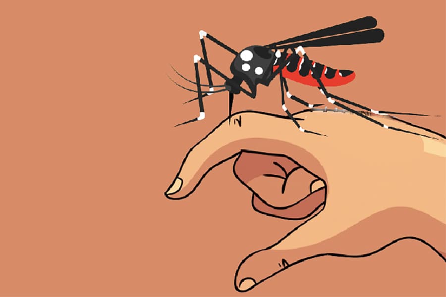 July sees highest dengue deaths in 6 months