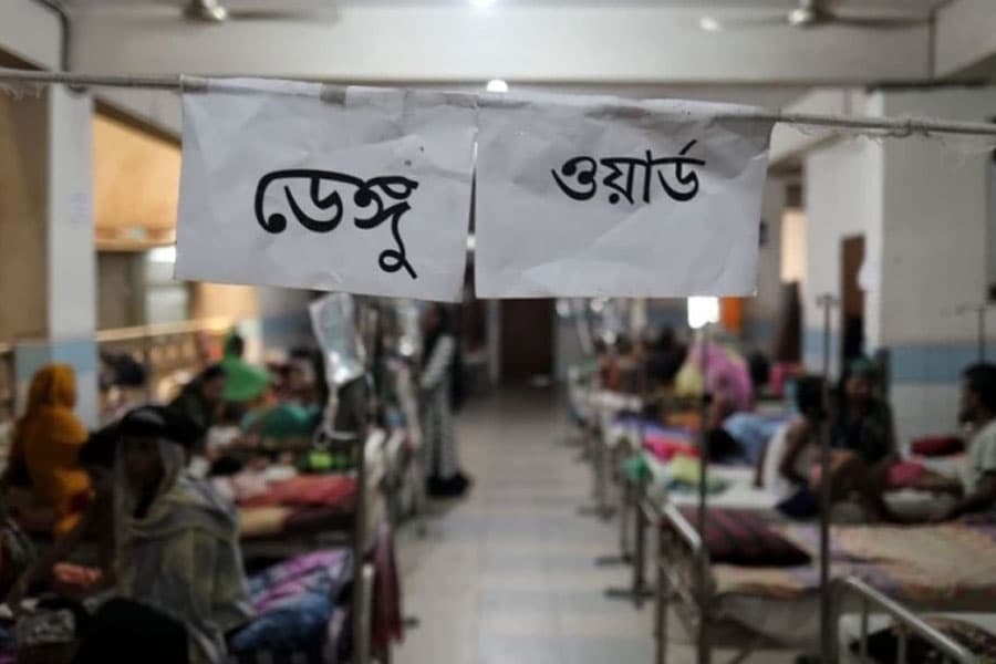 Dengue deaths surge in July as experts warn of August spike