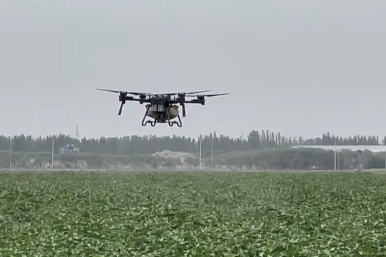 Aksu excels in modern cotton farming, green preservation