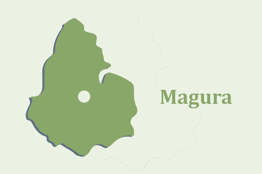 Five Rohingya youths arrested from a bus in Magura
